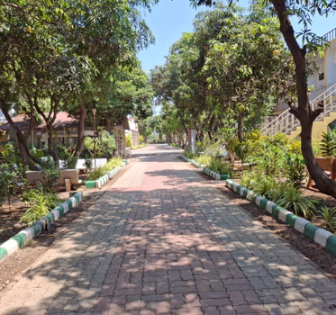 Bird watching at Gir forest – nature tourism Sasan Gir