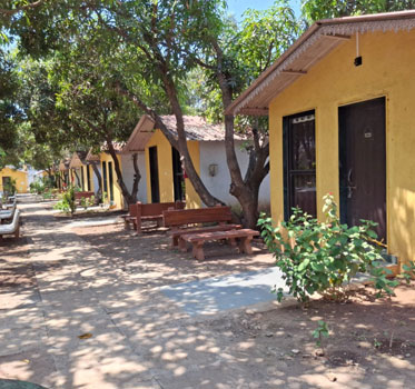 Dining area and restaurant at Gir Jungle Lodge resort Sasan Gir