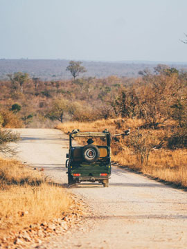 Lion safari in Gir National Park – best hotel near Gir safari in Gujarat