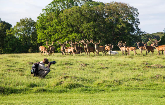 Nature photography in Gir forest – wildlife photography jungle adventure Gujarat