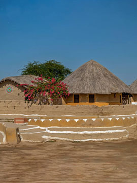 Gir forest nature walk – eco tourism resort near Gir National Park