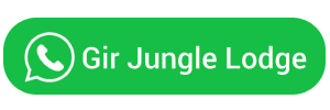 jungle safari gir